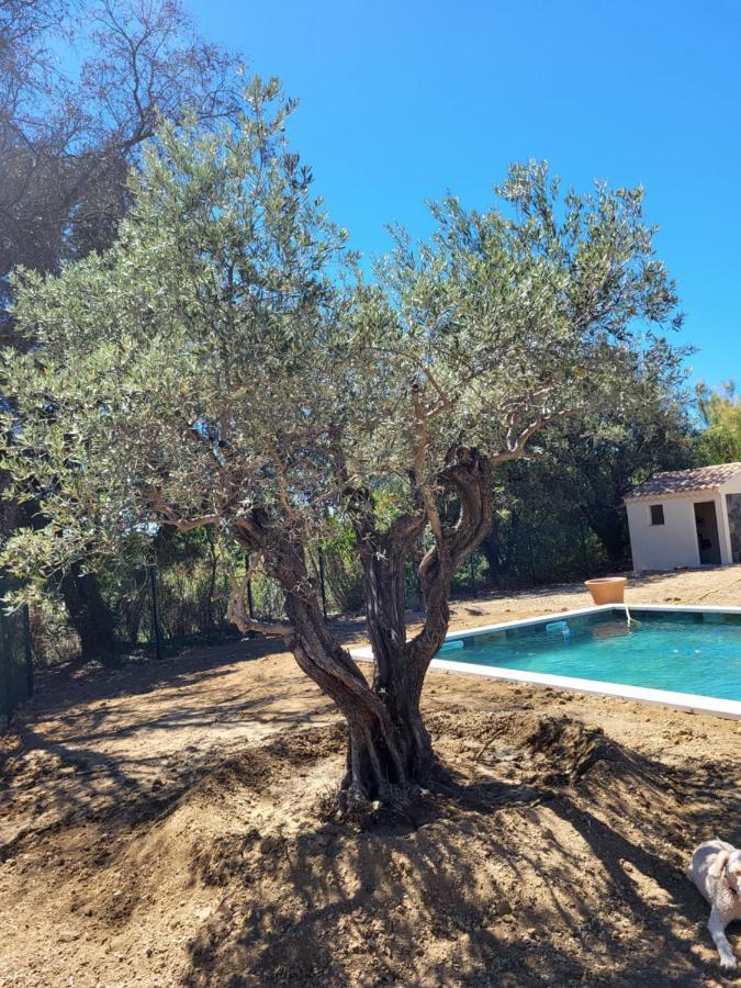 Villa Gitedelea Aubignan Exterior foto